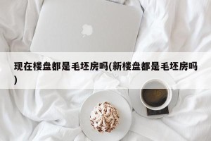 现在楼盘都是毛坯房吗(新楼盘都是毛坯房吗)
