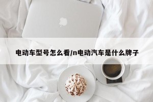 电动车型号怎么看/n电动汽车是什么牌子