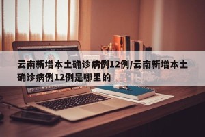 云南新增本土确诊病例12例/云南新增本土确诊病例12例是哪里的