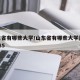 山东省有哪些大学/山东省有哪些大学是211 985